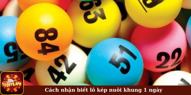 Cách nhận biết lô kép nuôi khung 1 ngày 