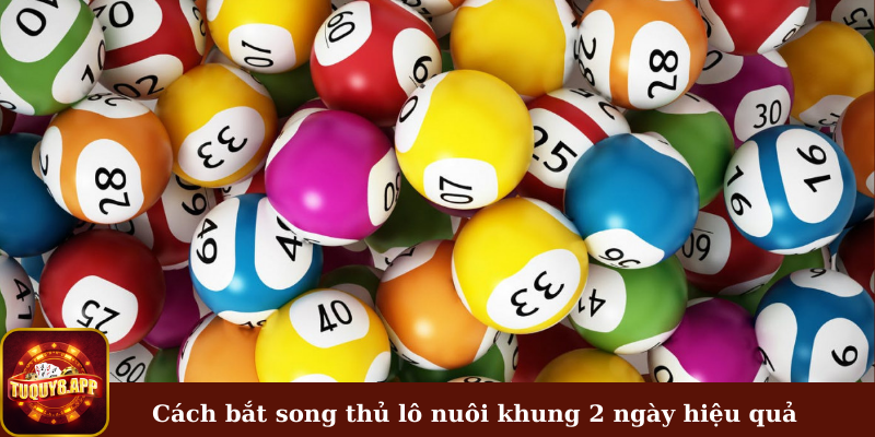 Hướng dẫn cách bắt song thủ lô nuôi khung 2 ngày hiệu quả 