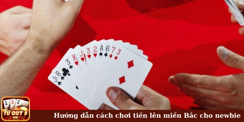 Hướng dẫn cách chơi tiến lên miền Bắc cho newbie