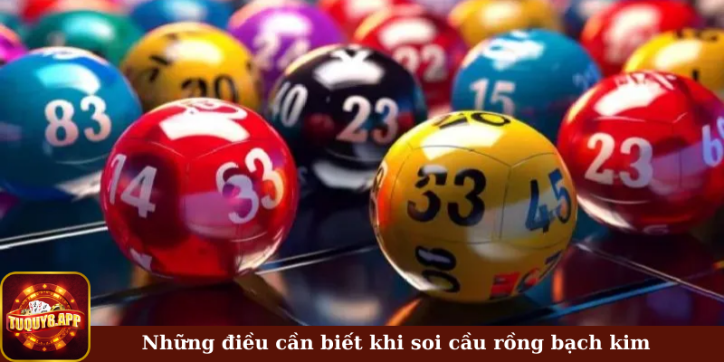 Những điều cần biết khi soi cầu dựa theo rồng bạch kim