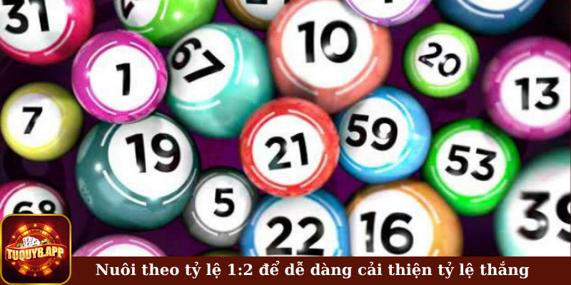 Nuôi theo tỷ lệ 1:2 để dễ dàng cải thiện tỷ lệ thắng